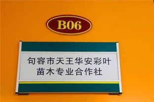 喜訊！華東森林產(chǎn)品電商城入選首批江蘇省鄉(xiāng)鎮(zhèn)電子商務(wù)特色產(chǎn)業(yè)園區(qū)